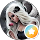 K.-Dieter Witt profile picture